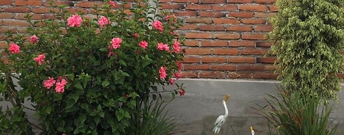 Tababela Airport B&B