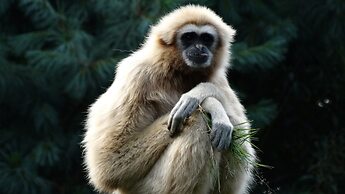 Holiday Inn Express & Suites Valencia - Santa Clarita by IHG