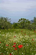 Agriturismo Terrerosse di Massadita