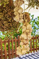 Agriturismo Terrerosse di Massadita