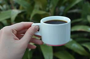 Suites Ejecutivas Los Arcos