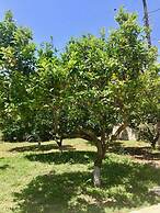 PargaLand Studios & Apartments