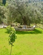 PargaLand Studios & Apartments