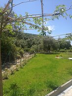 PargaLand Studios & Apartments