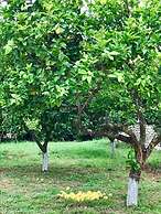 PargaLand Studios & Apartments