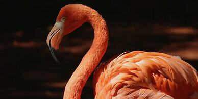 Crowne Plaza Shanghai Hongqiao by IHG