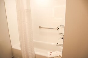 Comfort Suites Gainesville near University