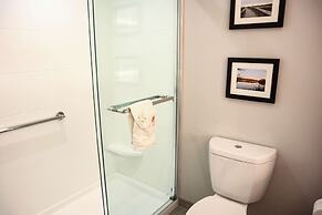 Comfort Suites Gainesville near University