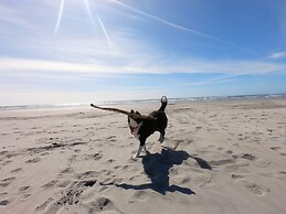 Carters Beach Holiday Studios