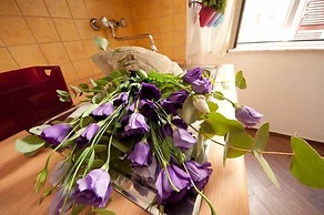 Comfortable Apartment Very Close to the Vatican Free Wifi No123