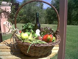 Il Cigliere Your Holiday Home in the Heart of Tuscany
