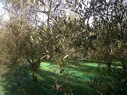 Il Cigliere Your Holiday Home in the Heart of Tuscany