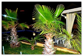 Holiday House & Events With Private Pool in the Center of Sicily