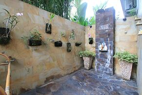 Vss-ubud Ricefield -ac-3bd-3bth-pool-b&b-internet