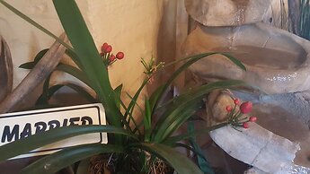 Since 2006 African Silhouette Offers Safe, Tranquil and Highly Recomme