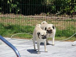 Room in Studio - Attypical Calm Harmonious Relaxing
