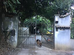 Room-double Room With Services