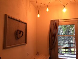 Room-double Room With Services