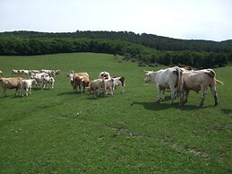 Room in Farmhouse - Rustic Charm - two Bedroom Suite 8601