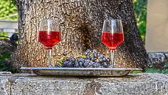 Corfu Room Apartments in a Piecefull and Full of Olive Trees Location