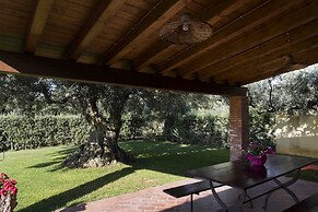 House Surrounded by Olive Trees