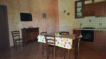 House Surrounded by Olive Trees