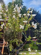 Harbour View Cottage Boutique B&b