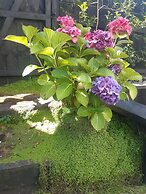 Harbour View Cottage Boutique B&b