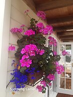 Harbour View Cottage Boutique B&b