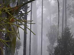 Room-wayanad Stay- The Coffee-suite