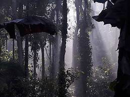 Room-wayanad Stay the Pepper Suite