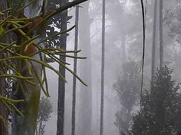 Room-wayanad Stay the Pepper Suite