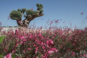 Aliv Stone Suites & Spa