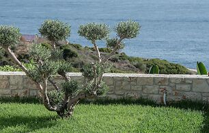 Aliv Stone Suites & Spa