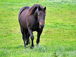 Tranquil Lake View Cottage-by Traum