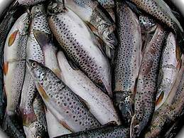 8 Person Holiday Home in Skei i Jolster