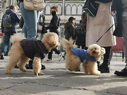 Florence Hostels Anamaria