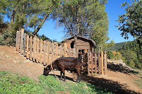 Alojamiento Rural Las Maravillas