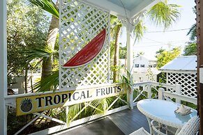 The Mermaid & Alligator