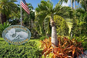 The Mermaid & Alligator