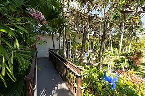 The Mermaid & Alligator