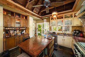 The Mermaid & Alligator