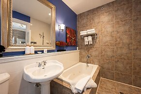 The Mermaid & Alligator