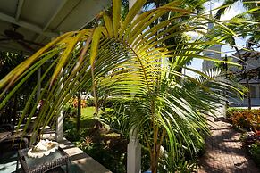 The Mermaid & Alligator