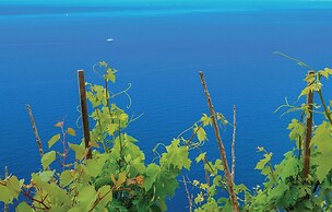 Amazing Home in Hodilje With Wifi and 2 Bedrooms