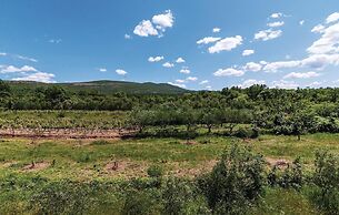 Nice Home in Ribnica-krusevo With Wifi and 1 Bedrooms