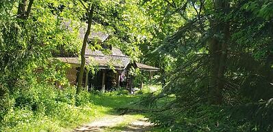 Circa 1850 Settlers Cabin