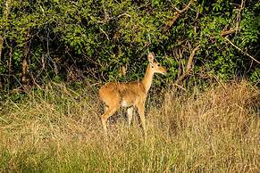 Saadani Safari Lodge - bush, river, beach