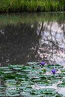 Saadani Safari Lodge - bush, river, beach