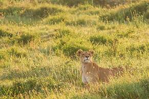 Saadani Safari Lodge - bush, river, beach